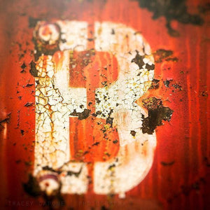 B | Abstract Letter Art - Tracey Capone Photography