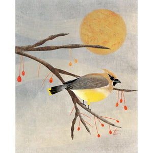 Cedar Waxwing Bird Illustration | Nature Home Decor