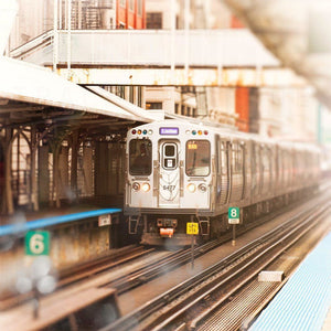 Linden | Purple Line Train in Chicago-Tracey Capone Photography