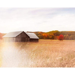 Autumn Color Photography | Traverse City Barn And Field Tracey Capone Photography