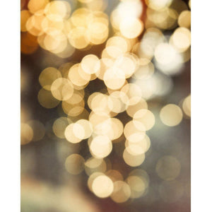Bokeh No. 2 | Gold & Gray Abstract - Tracey Capone Photography