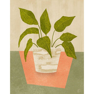 Calathea Plant Illustration // Houseplant Home Decor Tracey Capone Photography