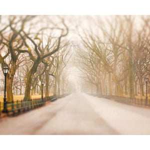 Central Park | New York City Art-Tracey Capone Photography