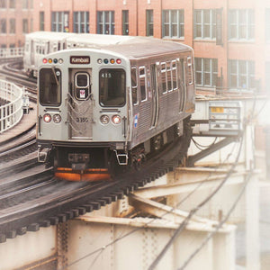 415 (CTA Brown Line Train) - Tracey Capone Photography