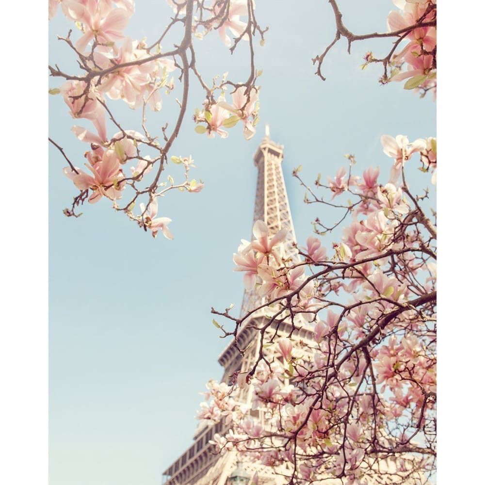 Paris in Spring, Paris Wall Art, Eiffel Tower Decor, Paris Print