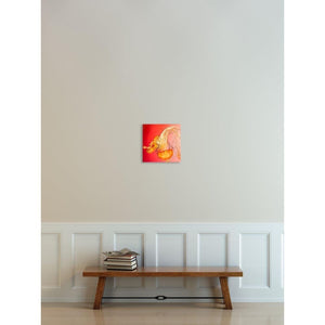 Fire | Red & Pink Jellyfish-Photograph on Birch Ready to Hang Birch Wood Block-Tracey Capone Photography