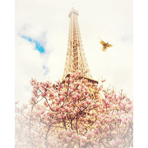 Paris Photography Print | Eiffel Tower & Magnolia Flowers Tracey Capone Photography