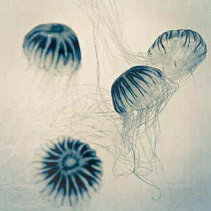 Pigment | Indigo Blue Jellyfish Print-Tracey Capone Photography