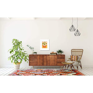 Pilea Plant Illustration // Chinese Money Plant Wall Art Tracey Capone Photography