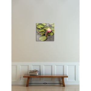 Pink Lotus Photograph | Nature Photography And Wall Art Tracey Capone Photography
