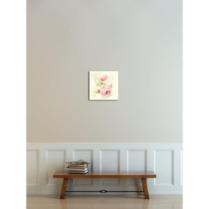 Pink Ranunculus No. 2 | Nature Photograph-Ready to Hang Birch Wood Mounted Photograph-Tracey Capone Photography