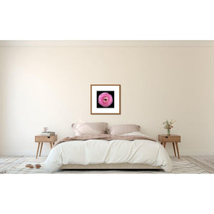 Portrait of a Pink Ranunculus No. 1-Framed Archival Lustre Print-Tracey Capone Photography