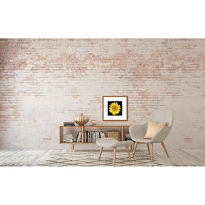 Portrait of a Yellow Sunflower No. 1-Framed Archival Lustre Print-Tracey Capone Photography