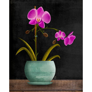 Purple Orchid Illustration | Flower Wall Art | Floral Home Decor