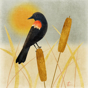 Redwing Blackbird Illustration | Nature Wall Art | Neutral Home Decor