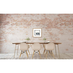The Argus | Camera Wall Art-Ready to Hang Wood Mounted Photograph-Tracey Capone Photography