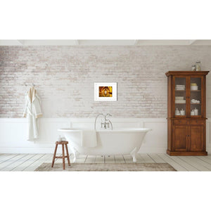 The Bath House | Seville Travel Photography-Photograph Mounted on Birch Wood Block-Tracey Capone Photography