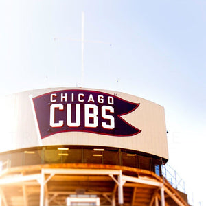 The Cubbies | Wrigley Field, Chicago-Tracey Capone Photography