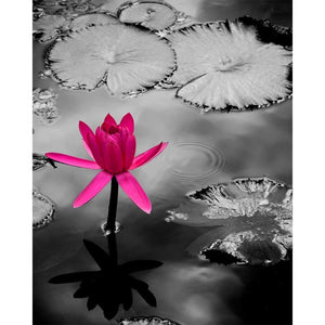 The Extrovert | Purple Lotus Flower-Tracey Capone Photography