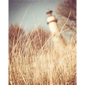 The Lighthouse | Grosse Point Beach-Tracey Capone Photography