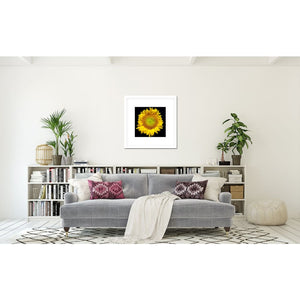 Yellow Sunflower Photograph | Nature Wall Art Print Tracey Capone Photography