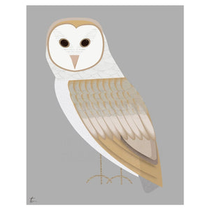 Barn Owl Illustration Bird Wall Art Decor Tracey Capone Photography