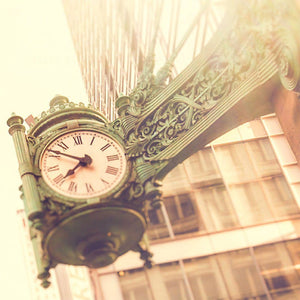 Fields | Clock on State Street-Tracey Capone Photography