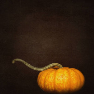 Orange Pumpkin No. 1 | Autumn Wall Decor-Tracey Capone Photography