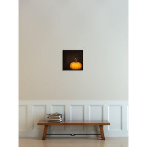 Orange Pumpkin No. 2 | Nature Photograph-Ready to Hang Birch Wood Mounted Photograph-Tracey Capone Photography