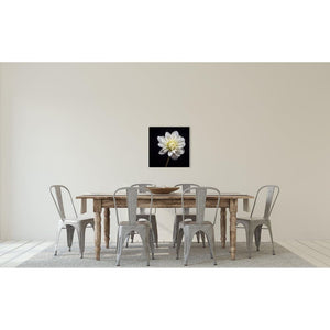 Portrait of a White Dahlia No. 3-Wood Mounted Photograph-Tracey Capone Photography