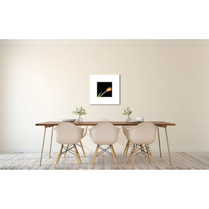 Portrait of an Orange Tulip No. 2-Framed Archival Lustre Print-Tracey Capone Photography