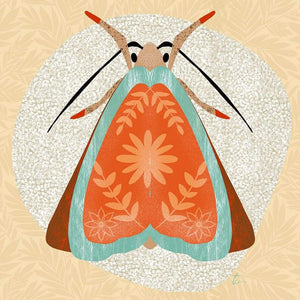 Red and Teal Moth Illustration // Folk Art Inspired Tracey Capone Photography