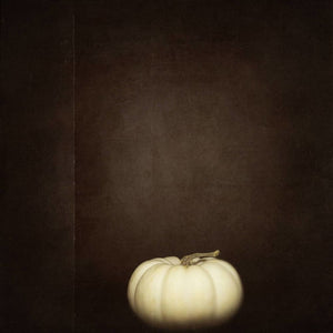 White Pumpkin | Autumn Wall Decor-Tracey Capone Photography